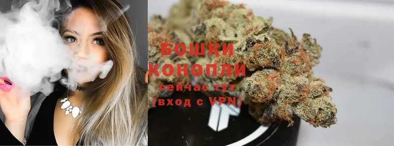 Бошки марихуана OG Kush  сайты даркнета клад  Лесосибирск 